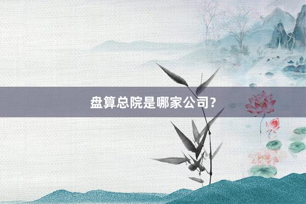 盘算总院是哪家公司？