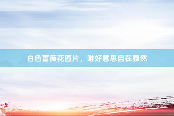 白色蔷薇花图片，唯好意思自在骤然