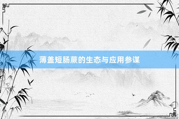 薄盖短肠蕨的生态与应用参谋