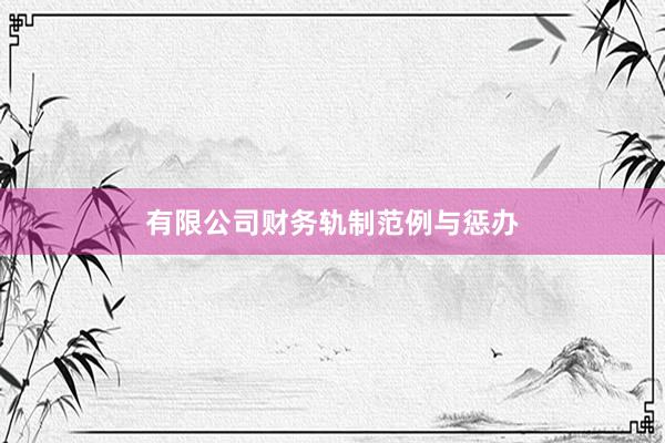 有限公司财务轨制范例与惩办